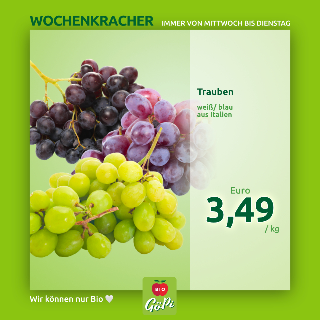 Wochenkracher 2