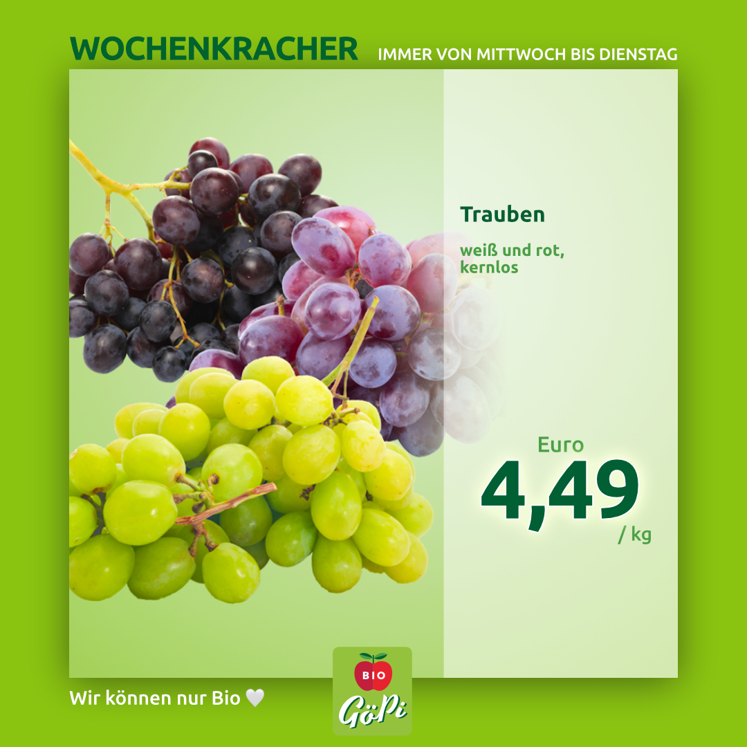 Wochenkracher 1