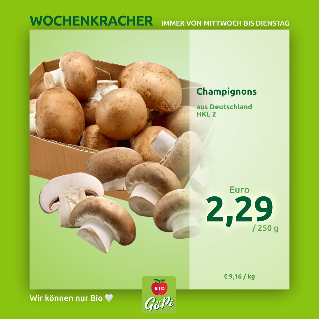 Wochenkracher 3